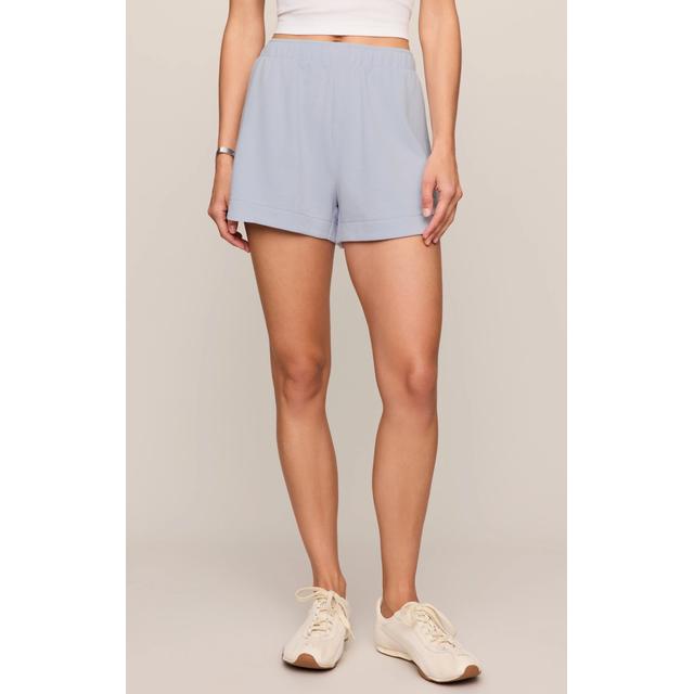 Z Supply W The Everyday Short SYN Skyline