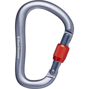 Black Diamond RockLock Screwgate Carabiner Gray