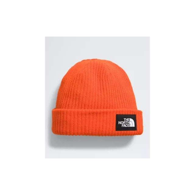 The North Face Salty Lined Beanie FW25 2EK Caraway Seed