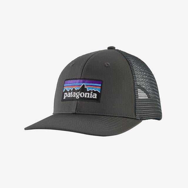 Patagonia P-6 Logo Trucker Hat GMTG Gumtree Green