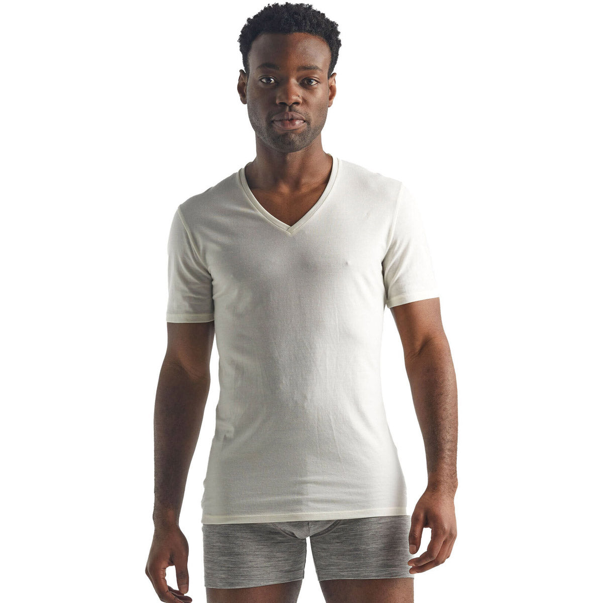 Icebreaker Men's Merino Anatomica Short Sleeve V Neck T-Shirt Snow